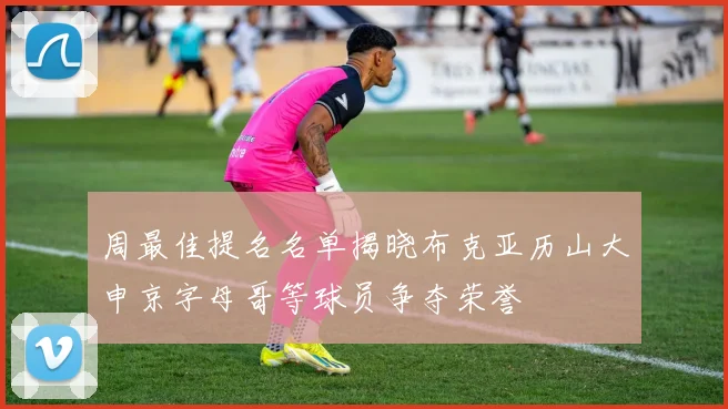 周最佳提名名单揭晓布克亚历山大申京字母哥等球员争夺荣誉