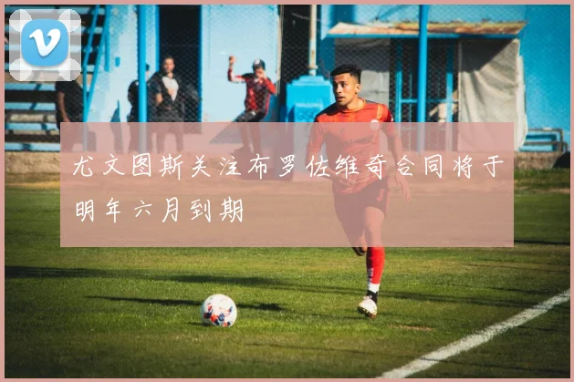 尤文图斯关注布罗佐维奇合同将于明年六月到期