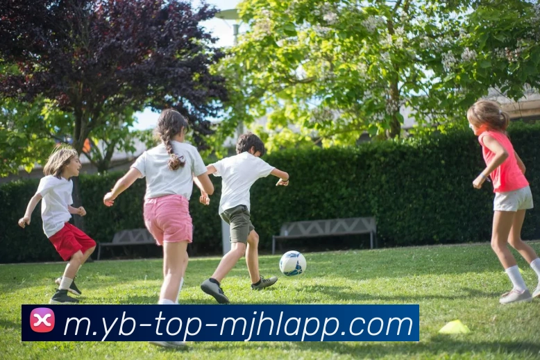 麻将胡了服务体系